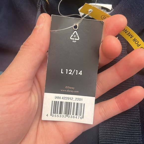 Disney Princess Holiday Magic In My Heart Size Large Long Hoodie sweatshirt New - Picture 7 of 12